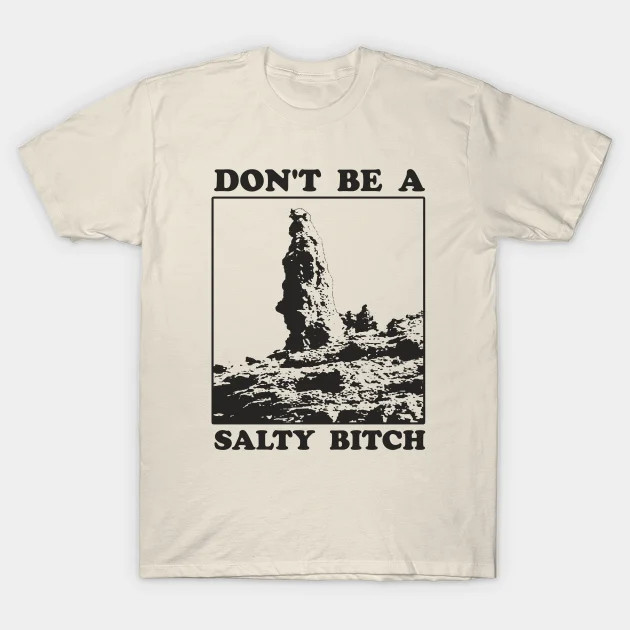 Don't Be A Salty Bitch shirt